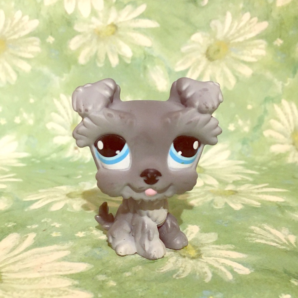 LPS Schnauzer puppy